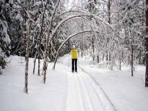 Langlaufen in de winter